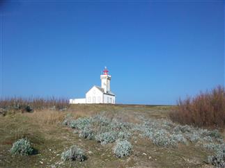 Campsite Belle Ile Trion Guen
